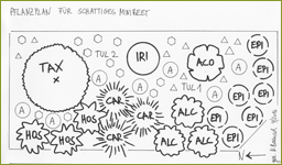 Pflanzplan: Nicole Baensch, Dipl. Ing. fr Landschaftsplanung