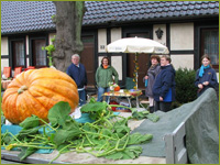 Foto: Nicole Baensch, Dipl. Ing. fr Landschaftsplanung